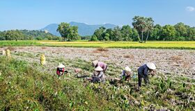 Capture the authentic charm of Vietnam’s family-friendly scene